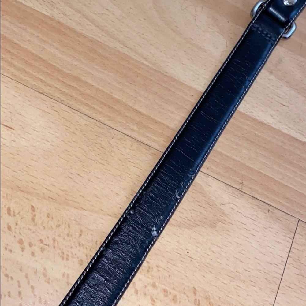 Authentic Coach Dog Leash Set - Picture 6 of 6